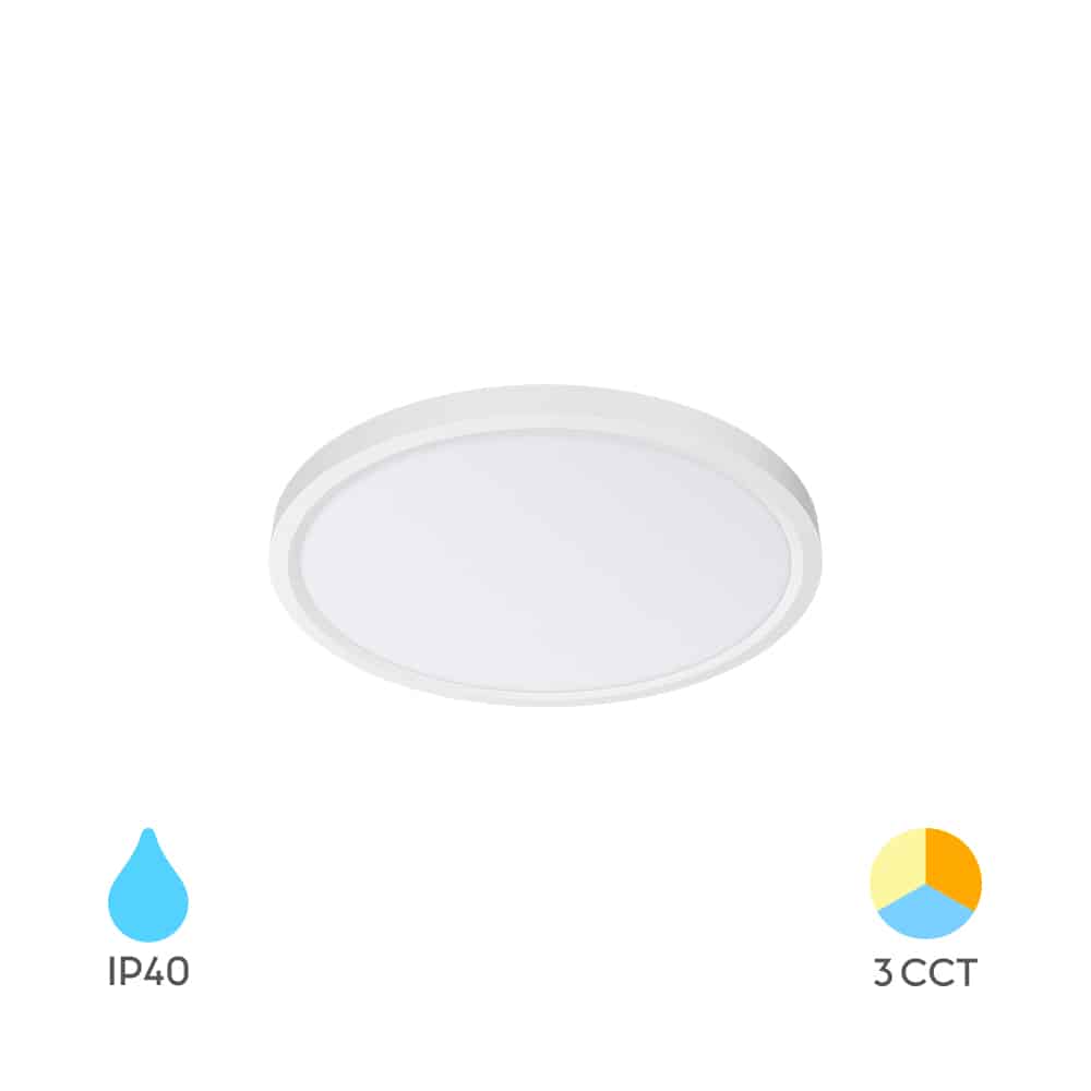 BP07-00280_1